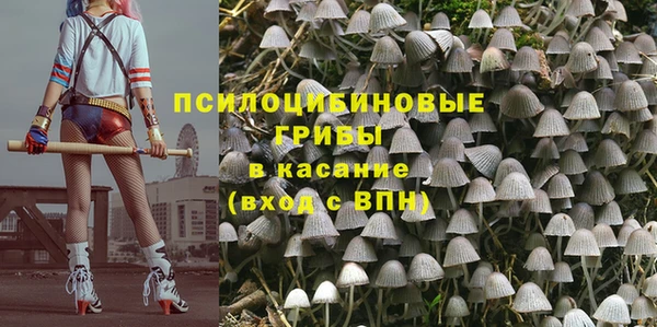молекула духа Медногорск