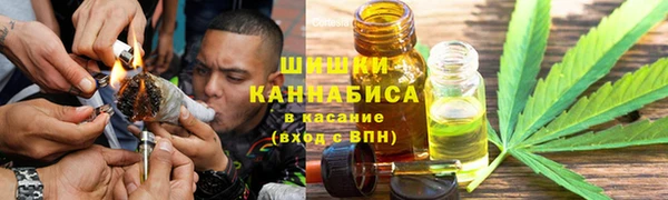 мдпв Аша